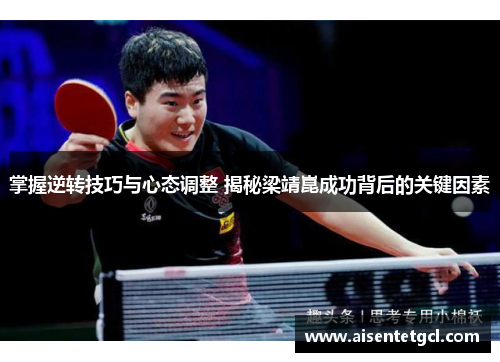 掌握逆转技巧与心态调整 揭秘梁靖崑成功背后的关键因素 掌握逆转技巧与心态调整 揭秘梁靖崑成功背后的关键因素