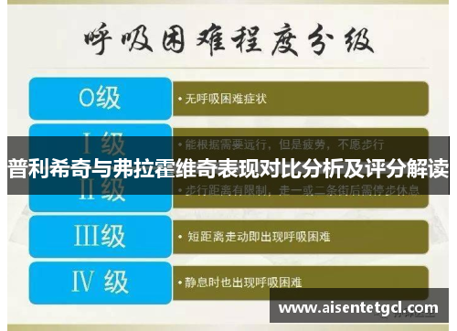 普利希奇与弗拉霍维奇表现对比分析及评分解读 普利希奇与弗拉霍维奇表现对比分析及评分解读