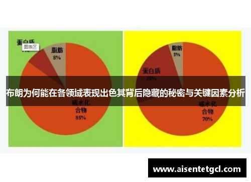 布朗为何能在各领域表现出色其背后隐藏的秘密与关键因素分析